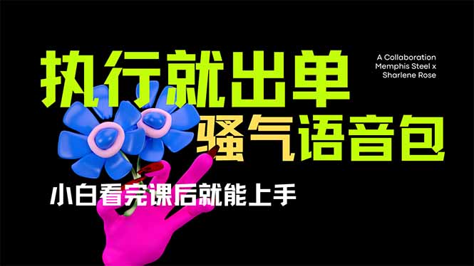 （14170期）爆火全网的开车导航骚气语音包,只要执行就出单，小白看完课程就能实操…
