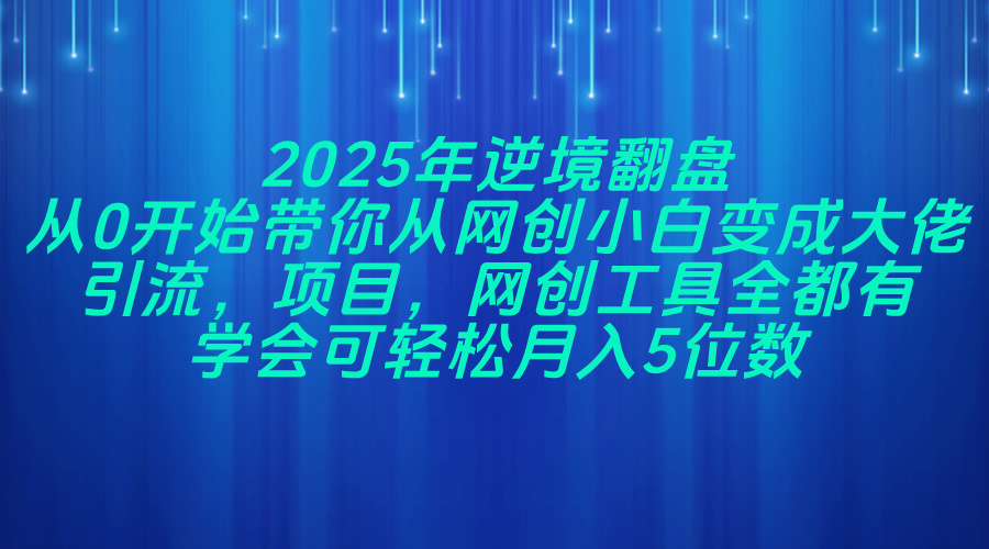 （14473期）2025年逆境翻盘，从0开始带你从网创小白变成大佬，引流，项目，网创工…