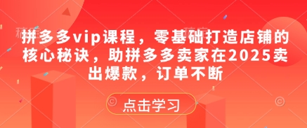 拼多多vip课程，零基础打造店铺的核心秘诀，助拼多多卖家在2025卖出爆款，订单不断