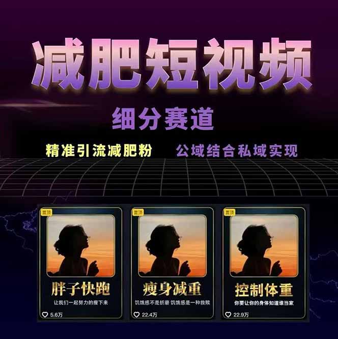 (15788期)减肥短视频赛道运营课:素材准备-视频制作-引流变现全流程 (附素材) (15788期)减肥短视频赛道运营课:素材准备-视频制作-引流变现全流程 (附素材)