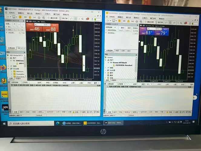 （15748期）美金对冲创业项目，日收益1000-3000，小众暴力项目稳定运行8年