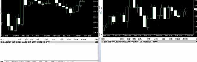 （15748期）美金对冲创业项目，日收益1000-3000，小众暴力项目稳定运行8年
