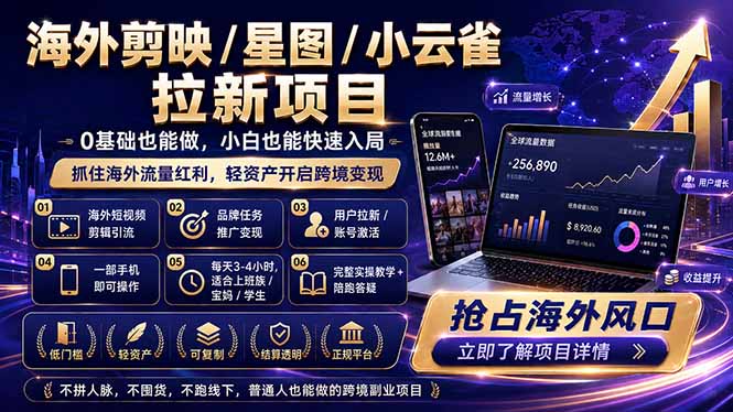 (18567期)海外剪映 / 星图 / 小云雀拉新项目 普通人也能上手的跨境流量变现副业