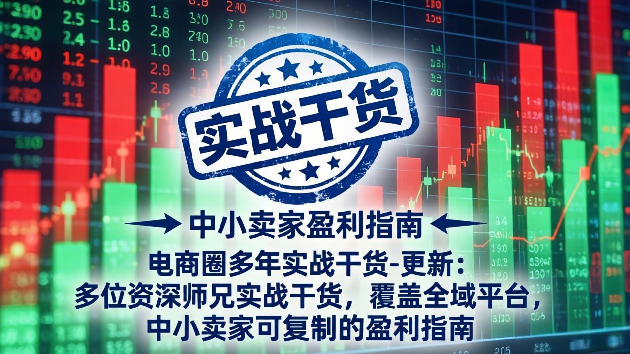 （19761期）电商圈多年实战干货-更新2026：多位资深师兄实战干货/覆盖全域平台，中小卖家可复制的盈利指南