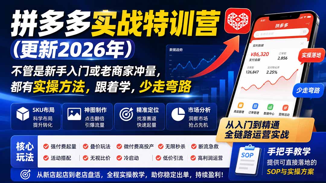 （19842期）拼多多实战特训营(更新2026年)：不管是新手入门或老商家冲量，都有实操方法，跟着学，少走弯路