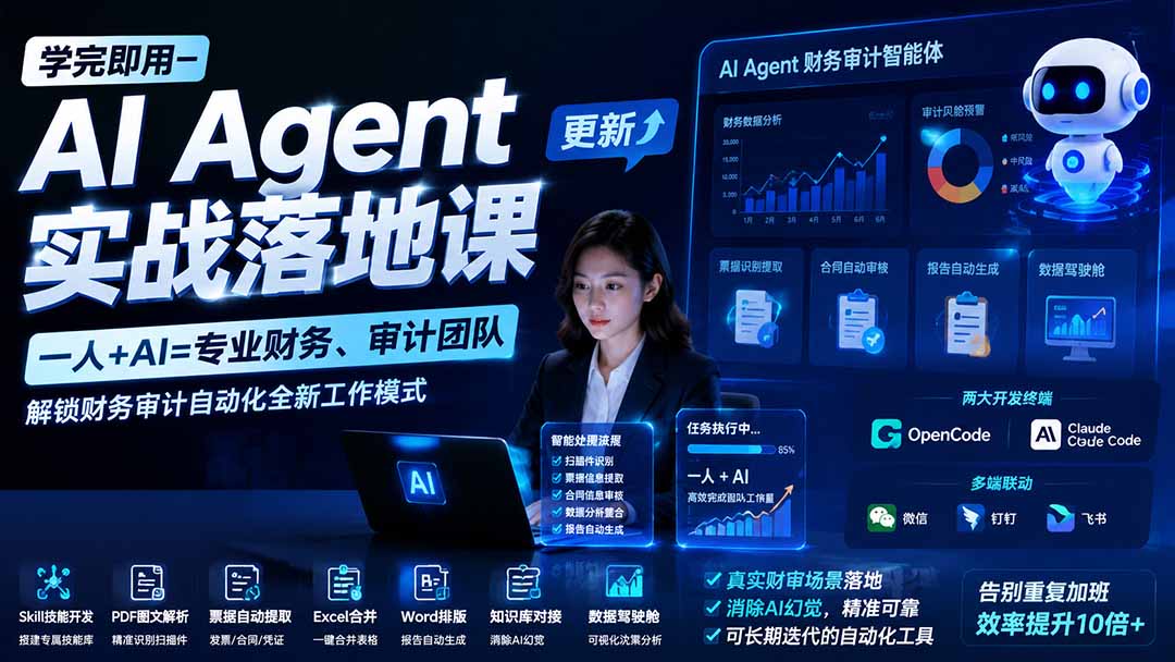 (19740期)学完即用—AI Agent实战落地课-更新:一人+AI=专业财务、审计团队,解锁财务审计自动化全新工作模式