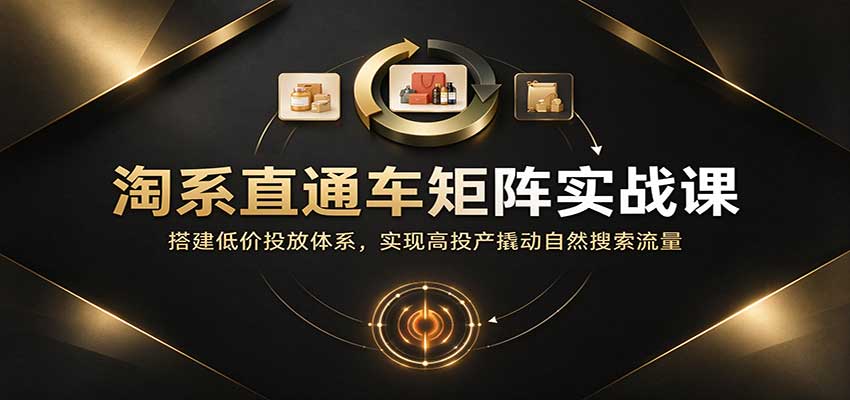 淘系直通车矩阵实战课:搭建低价投放体系,实现高投产撬动自然搜索流量
